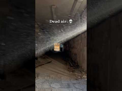 This is why you need to wear a respirator while urban exploring…