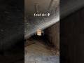 This Is Why You Need To Wear A Respirator While Urban Exploring