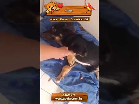 Vídeo de Henry