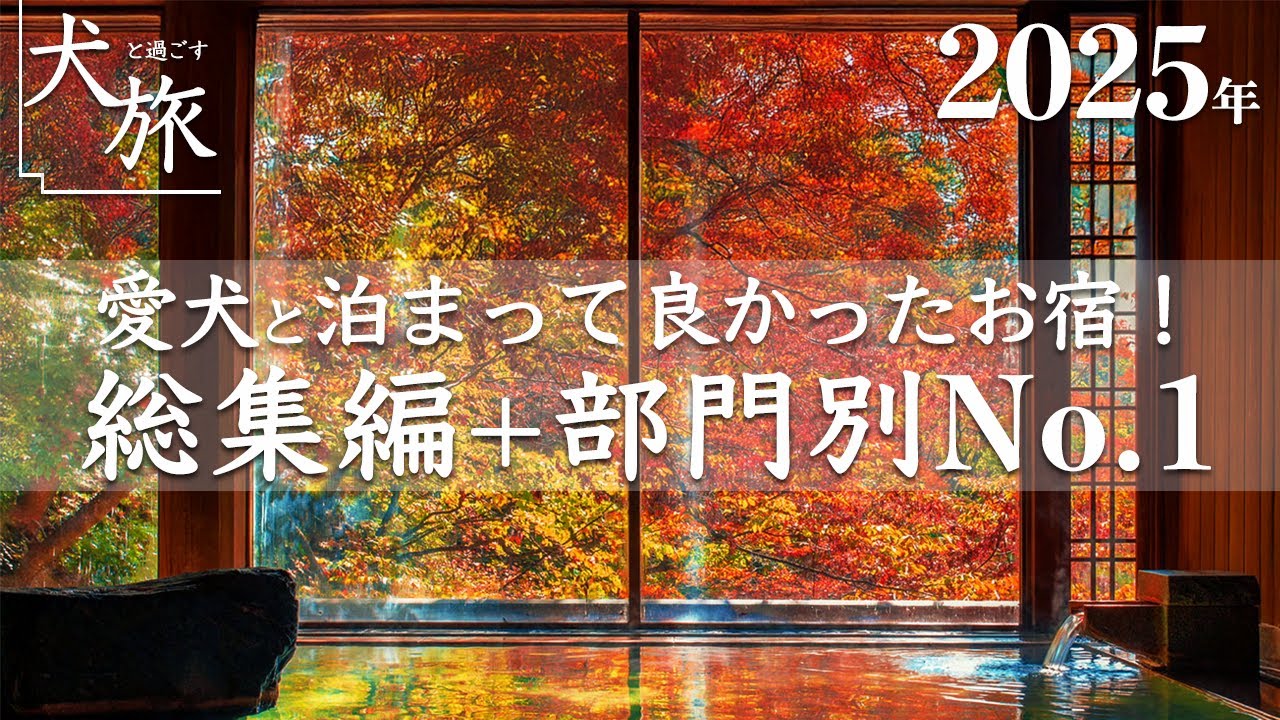 【総集編（2025年）】愛犬と泊まって良かったお宿！おすすめの温泉やお部屋、お料理など部門別に忖度無しガチ選定