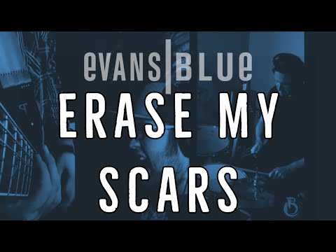[Vault] Erase My Scars (Evans Blue Cover) by Before The Chase