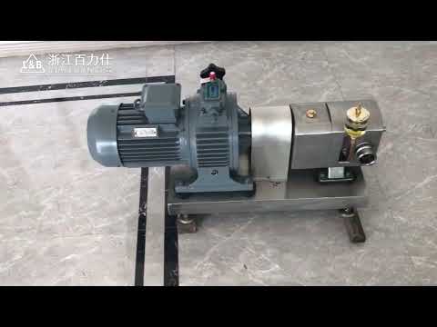 sanitary stainless steel lobe pump