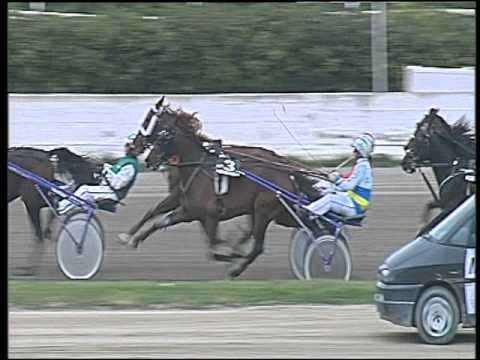 Trotto 28/03/2016 - 7° Corsa