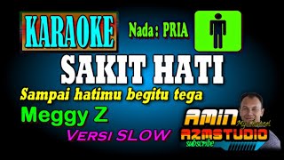 Download lagu SAKIT HATI Meggy Z KARAOKE Versi Slow Nada PRIA mp3