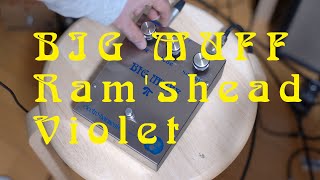 Video thumbnail for 1973  BIG MUFF Ram’s head “Violet 2nd ” BLUE ver by mmnr.jp