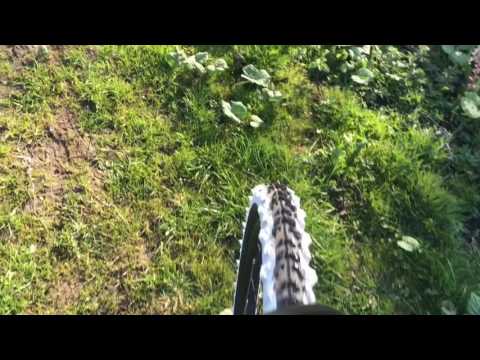 Ude Og Cykle En Tur (med Dans)👍🏻👍🏻👍🏻