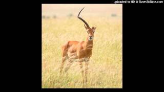 Eric Kupper, Discrete, Michelle Shaprow - The Same Old Thing (Afro Soul Mix)