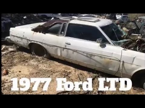 Thumbnail for 1977 Ford LTD junkyard find