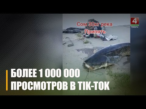 Виталий Симоненко из Мозыря взорвал Tik-Tok, набрав более 1 000 000 просмотров. Он выкатил ролик, как поймали сома весом 30 кг видео