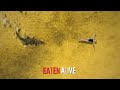 5 Shocking True Stories Of Crocodile Attacks