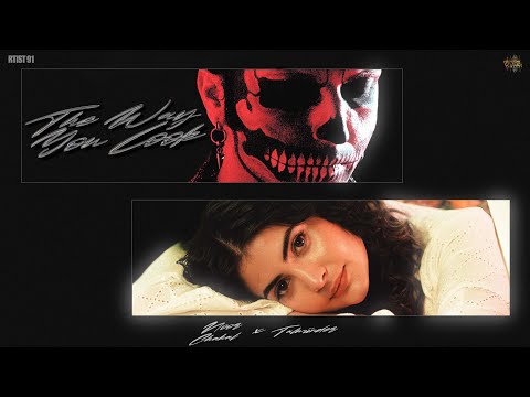 The Way You Look – Noor Chahal x Talwiinder x NDS | Deepesh | VYRL Punjabi | Rtist 91