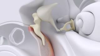 Re: [討論] 耳機表現是否有最適"聆聽音量"?