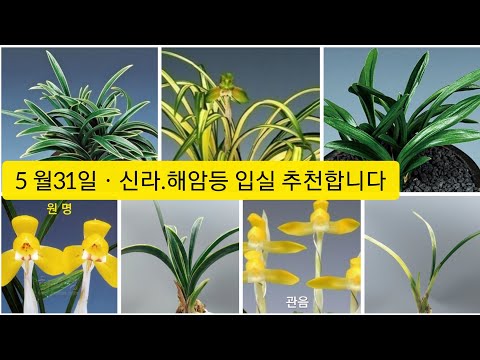 유튜브 썸네일
