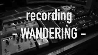 SEED TO TREE - Recording "Wandering" - 2/3