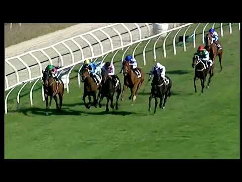 Napoli Galoppo 30/01/2022 - 1ª corsa