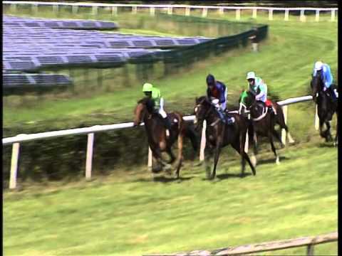 Galopprennbahn Dresden - 02.08.2014 - 2.Rennen