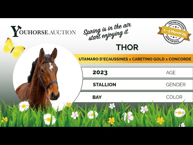 Thor