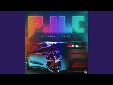 P.U.C (feat. Aydinone)