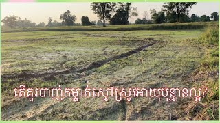 តើគួរកម្ចាត់ស្មៅអាយុប៉ុន្មានទើបល្អ ហើយមានគុណភាព?