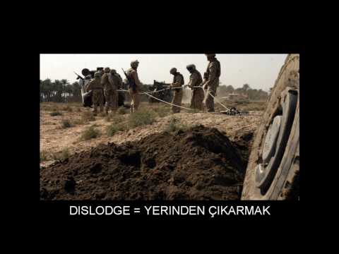 "D" Flashcards: Level 8 - İngilizce for Turkish Speakers.