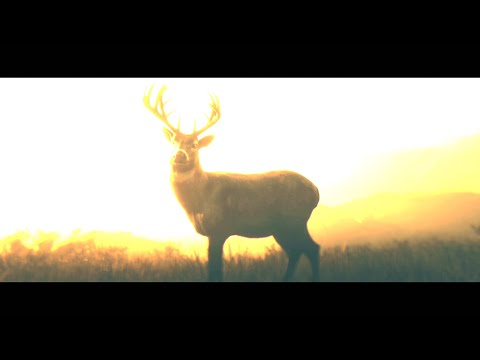 Red Dead Redemption 2 PC 4K HDR Gameplay Walkthrough Part 49: Arthur Morgan Death | RTX 2080Ti