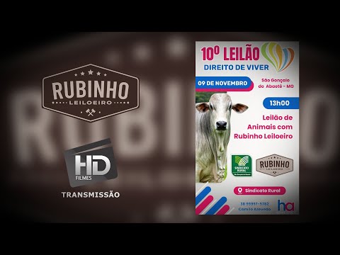 10° LEILÃO DIREITO DE VIVER - 09 DE NOVEMBRO, 2025 / São Gonçalo do Abaeté - MG