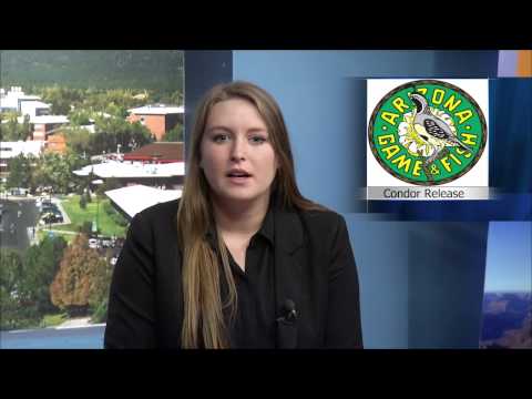 Annual Condor Release by Game and Fish