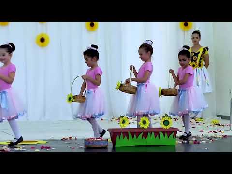 Festa da Família 2019 | Educação Infantil - TURMA EI52