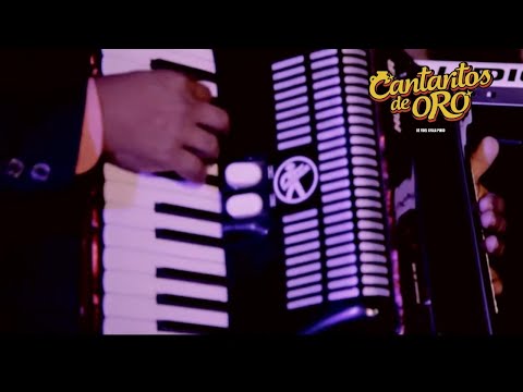 BUSCO UN AMOR - CANTARITOS DE ORO (VIDEO OFICIAL 4K)