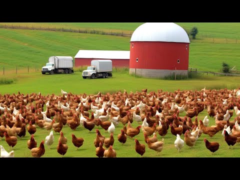 17,445 ORGANIC FARMS In The United States Work This...