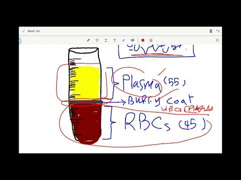 l fisiologia capítulo 4 l sangue l DR / Mostafa Nady