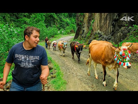 When the Day of Immigration Comes - Part 2 | Documentary