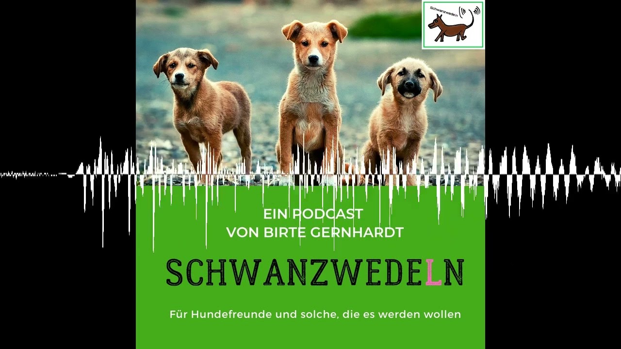 103 Spürnasen im Schnee - ein Wintermärchen für Hunde? - Schwanzwedeln