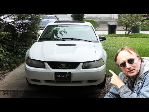 Buying an Old Mustang and Fixing It Up