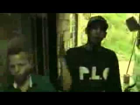 A veces p.l.g organizacion