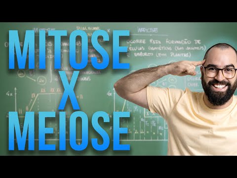 Mitose e Meiose: Comparação - Aula 34 - Módulo I: Biologia Celular | Prof. Gui