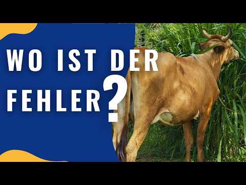 Unser Boden lebt wieder - Regenerative Viehwirtschaft auf Finca Bogamino in Costa Rica