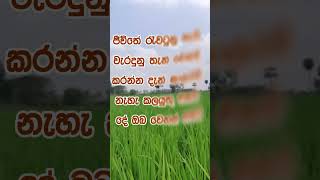 Download lagu නිවන් දකින්න කාලය පැමිණ ඇත. #motivation #love #quotes mp3