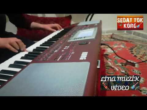 TELGRAFIN TELLERİNE FON MÜZİĞİ - KORG PA80 - PİYANİST SEDAT
