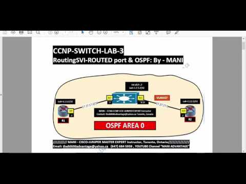 SVI vs Routed Port Lab