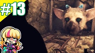 #13【ゲーム実況】あこの「人喰いの大鷲トリコ」