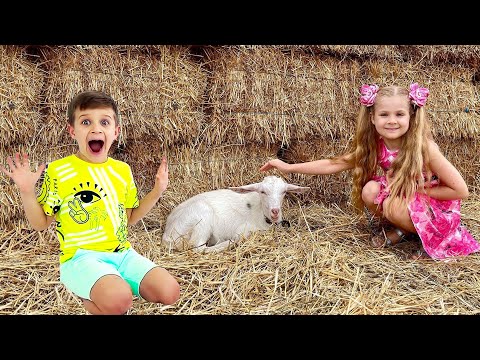 Diana và Roma trong những câu chuyện vui nhộn về Động vật