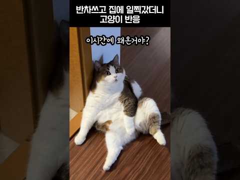 어이 형씨 이제와?