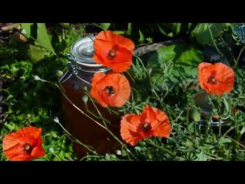 Tränen des Schultergelenkbänder Kapselbänder des Kniegelenks