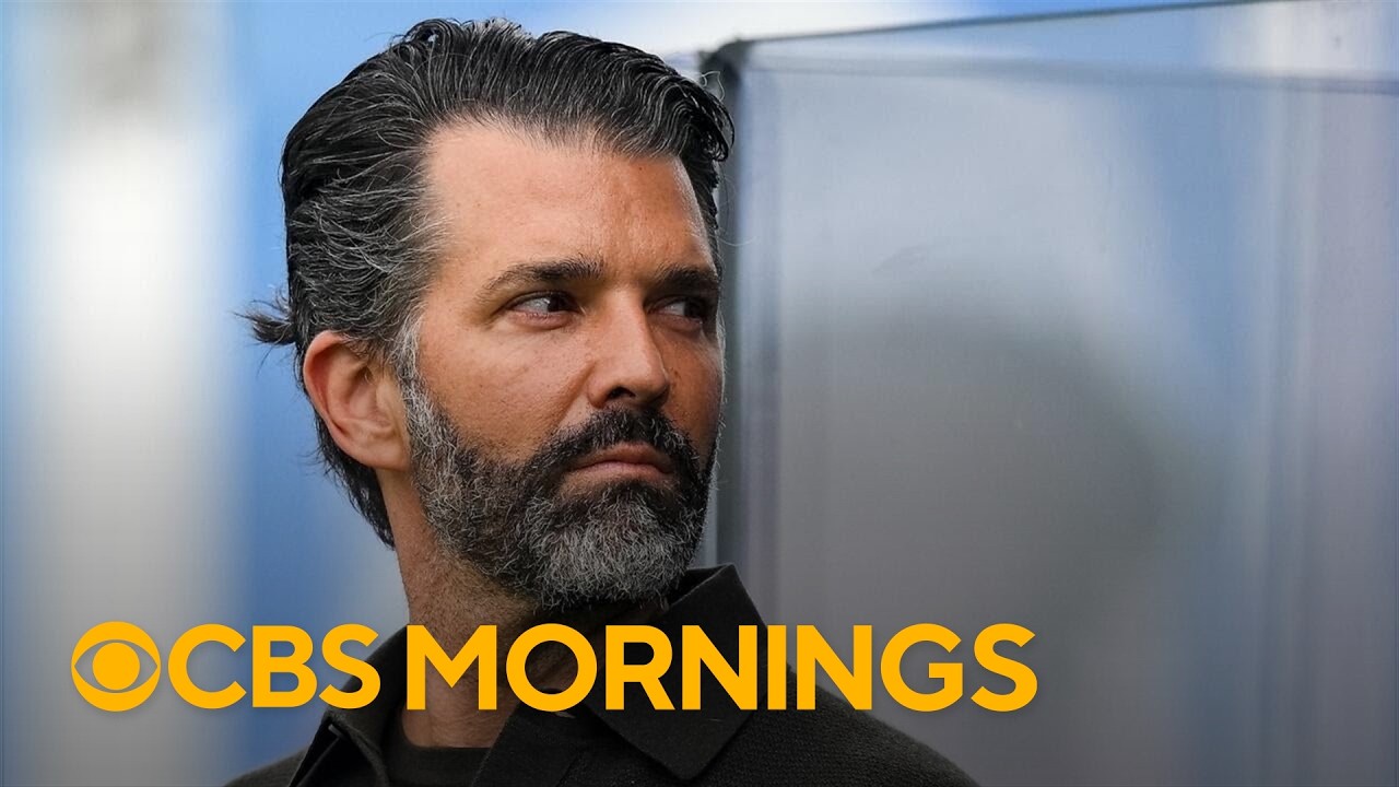 Republicans push for investigation into Donald Trump Jr. amid wedding party controversy