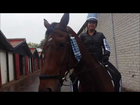 Manege De Ruif Amsterdam Nuon Clubcompetitie