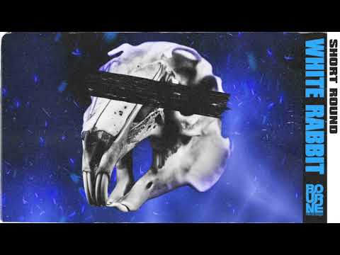 ShortRound - White Rabbit