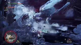 ジェダイト の モンスターハンターワールド：アイスボーン(PS4版) その13 リハビリを兼ねて気ままに狩猟生活（双剣と操蟲棍も始めました）