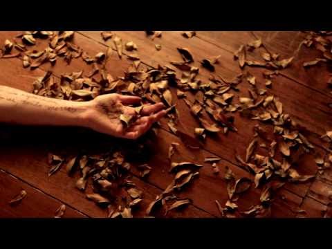 Ana Larousse . Vai, menina (Official Music Video)