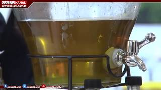 Kaliteli zeytin yağı nasıl anlaşılır, tadı ve kokusu nasıl olmalı